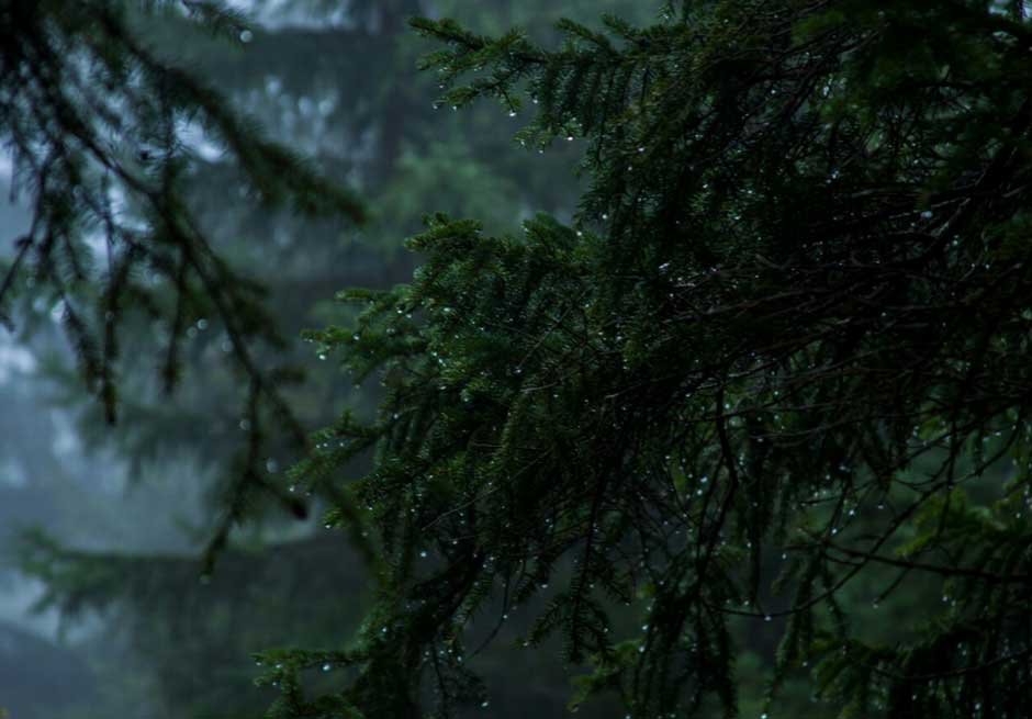 The technology behind Hollywood's weather