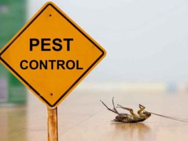 Understanding-the-Impact-of-Climate-on-Pest-Patterns