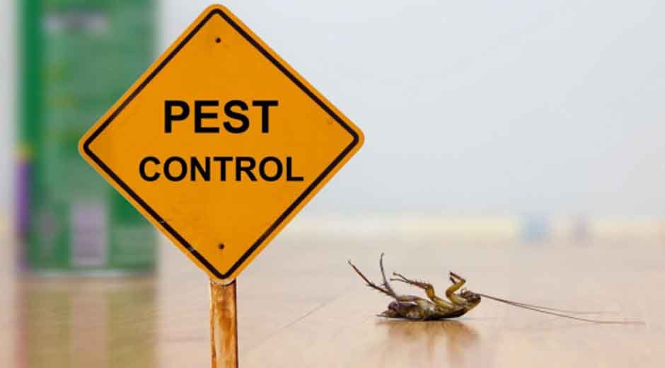 Understanding-the-Impact-of-Climate-on-Pest-Patterns