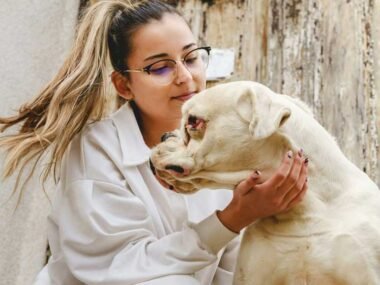 Advocating for Animals