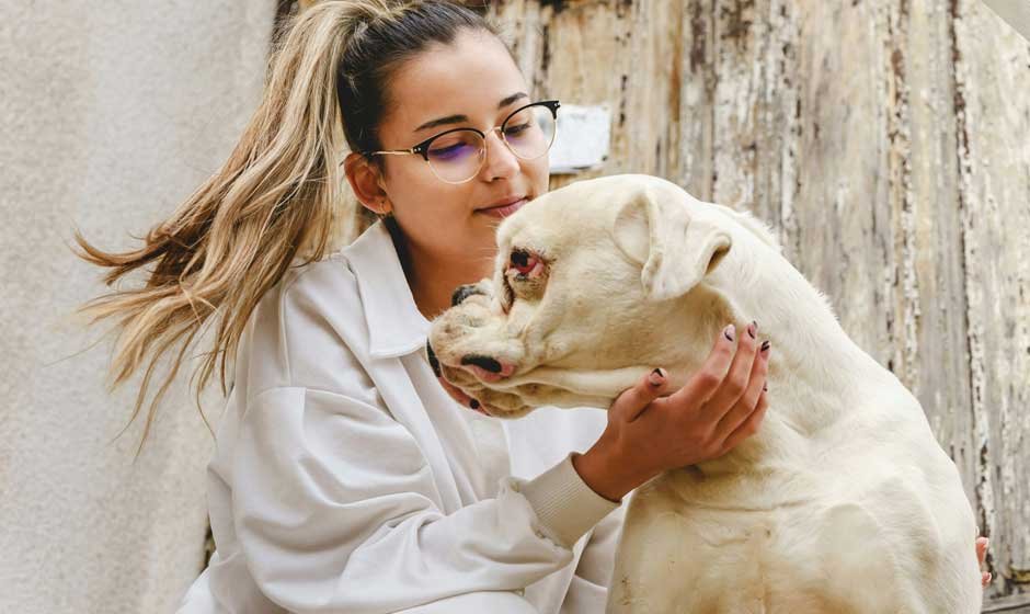 Advocating for Animals