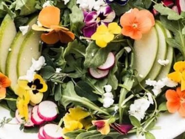 Discover How Colors of Flowers for Christmas Influence Festive Moods and Emotions