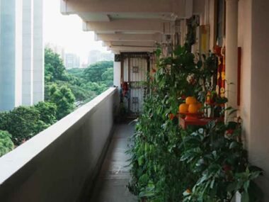 How-to-Turn-Your-Balcony-into-a-Productive-Green-Space