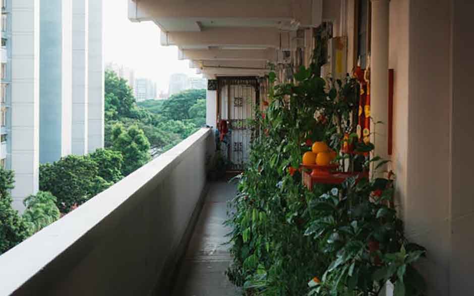 How-to-Turn-Your-Balcony-into-a-Productive-Green-Space