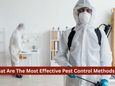 What Are The Most Effective Pest Control Methods