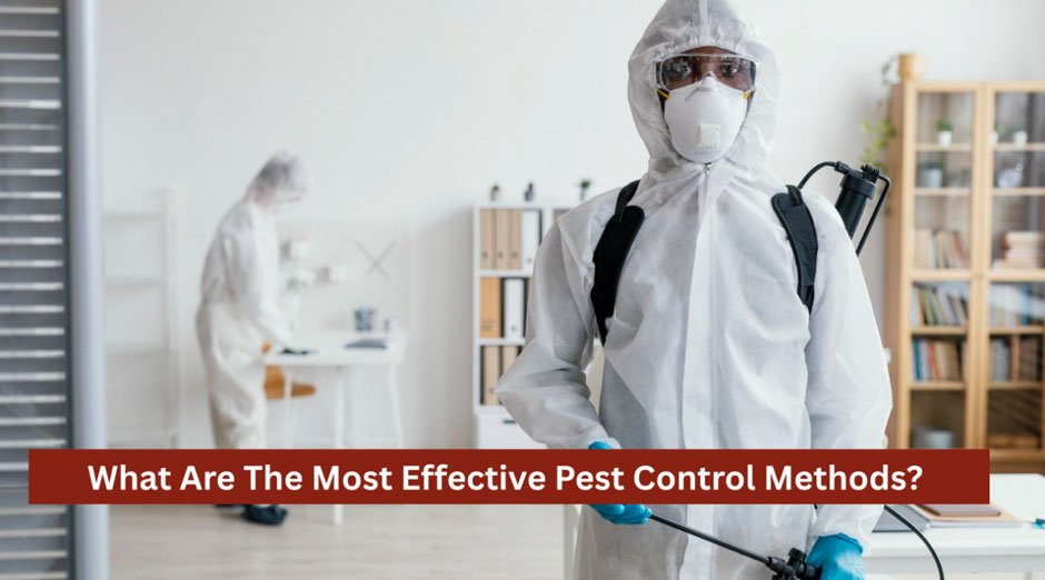 What Are The Most Effective Pest Control Methods