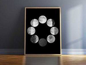 b888311a99d4086189dd7d22bf1d8e01