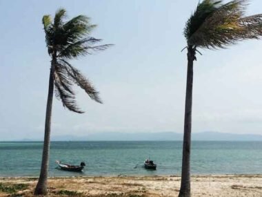 How-to-Prepare-Your-Home-for-Heavy-Rain-and-High-Winds