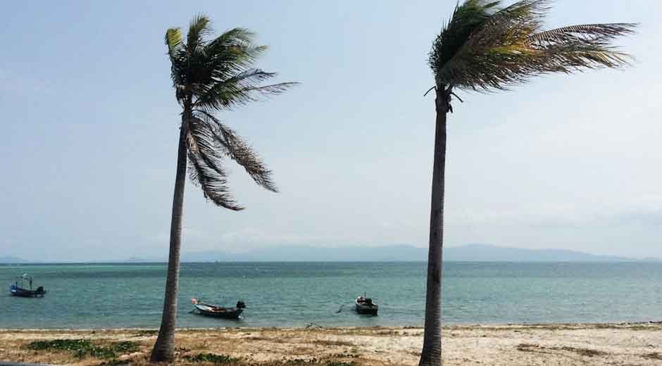 How-to-Prepare-Your-Home-for-Heavy-Rain-and-High-Winds