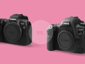 Mirrorless Cameras vs. Traditional DSLR