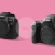 Mirrorless Cameras vs. Traditional DSLR