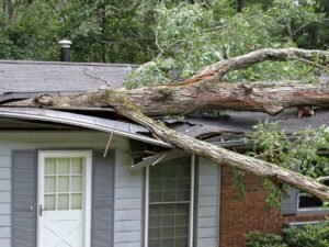 What to Expect During a Storm Damage Repair Service Visit