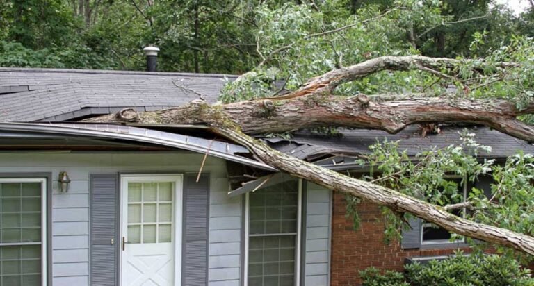 What to Expect During a Storm Damage Repair Service Visit - The ...