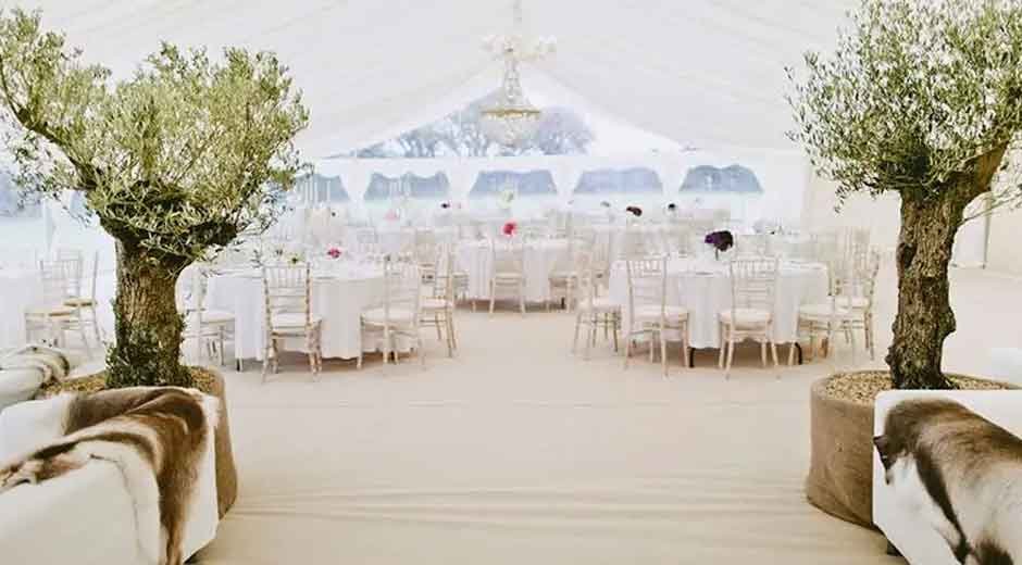 Why-Marquees-Are-Becoming-the-Go-To-Choice-for-Modern-Weddings