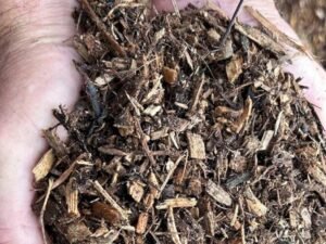 6 Tips on Choosing a Mulch Delivery Company in York, PA