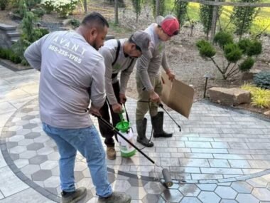 How Regular Maintenance Can Extend the Life of Your Paver Patio