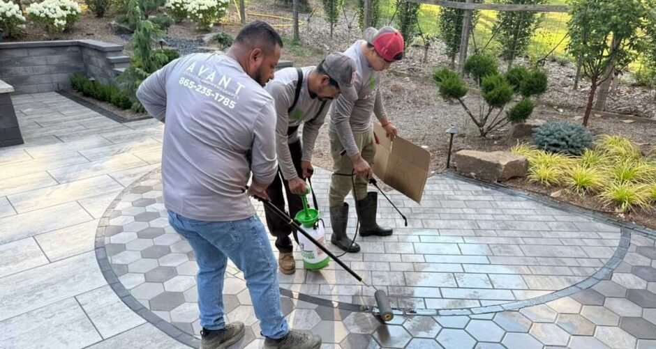 How Regular Maintenance Can Extend the Life of Your Paver Patio