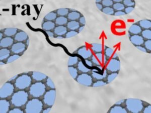 How TEM Grids Shape the Future of Nanotechnology