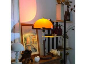 How the Right Lamps from a Lighting Shop Transform Home Interiors?