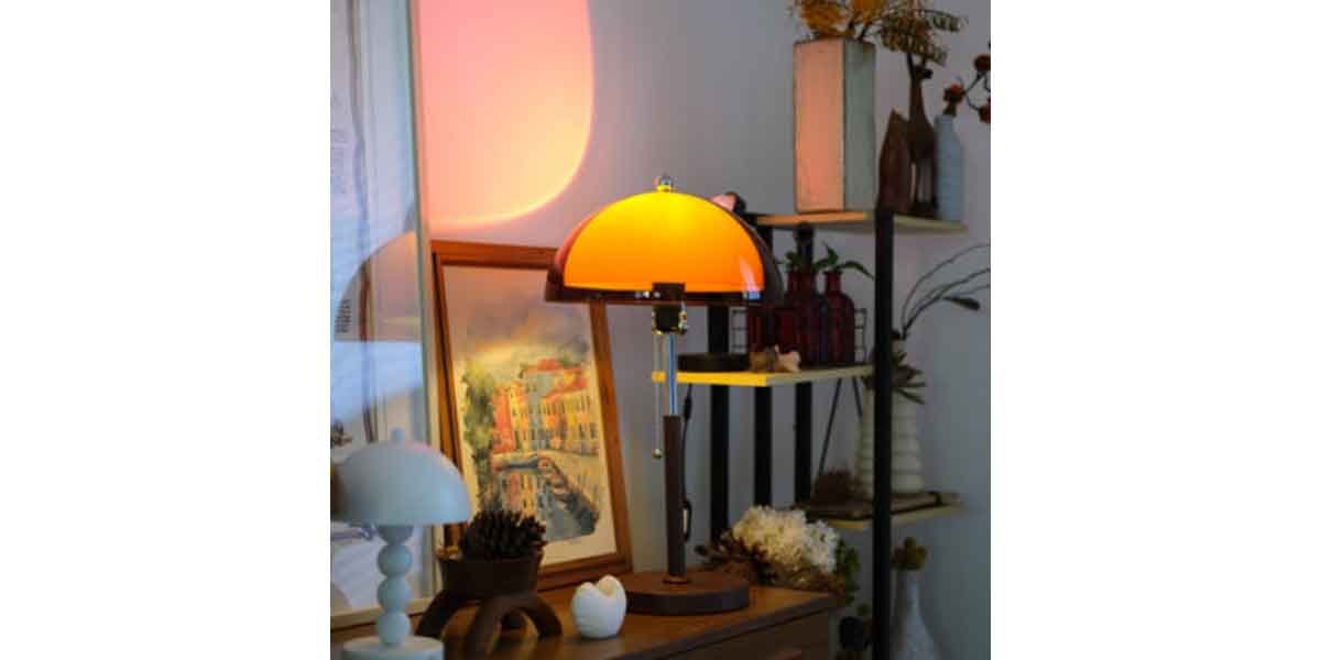 How the Right Lamps from a Lighting Shop Transform Home Interiors?