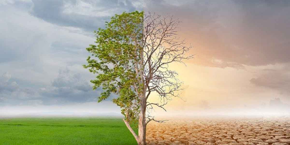 Ways to Do Your Bit for Earth Without Sacrifice