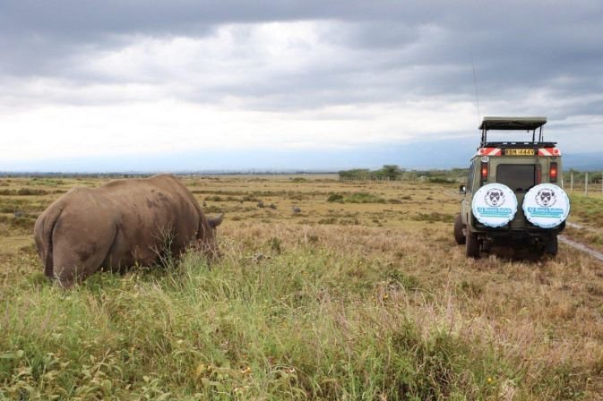 the-art-of-the-african-safari-how-to-curate-the-pe-2