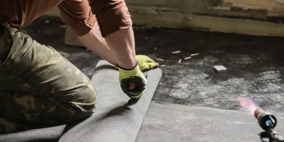 7 Warning Signs Your Basement Needs Waterproofing - The Curiously Creative