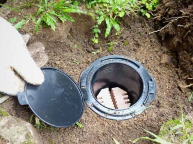 Liquid vs. Bait Termite Treatments